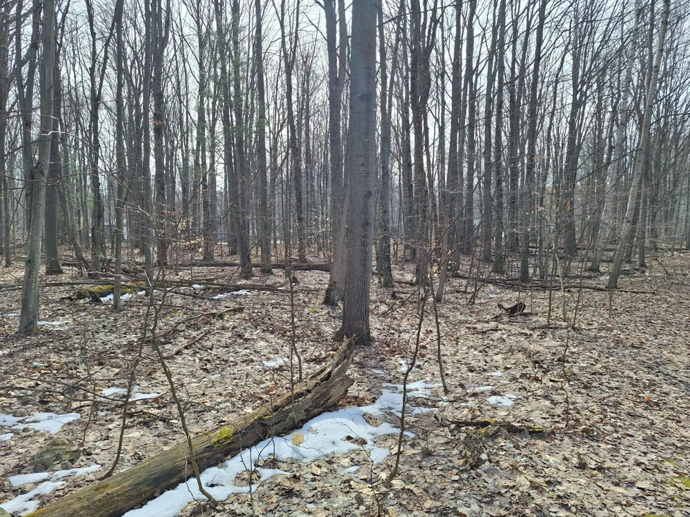 Birch Street #LOT 10, 11, 12 BL 13 Ludington, MI 49431