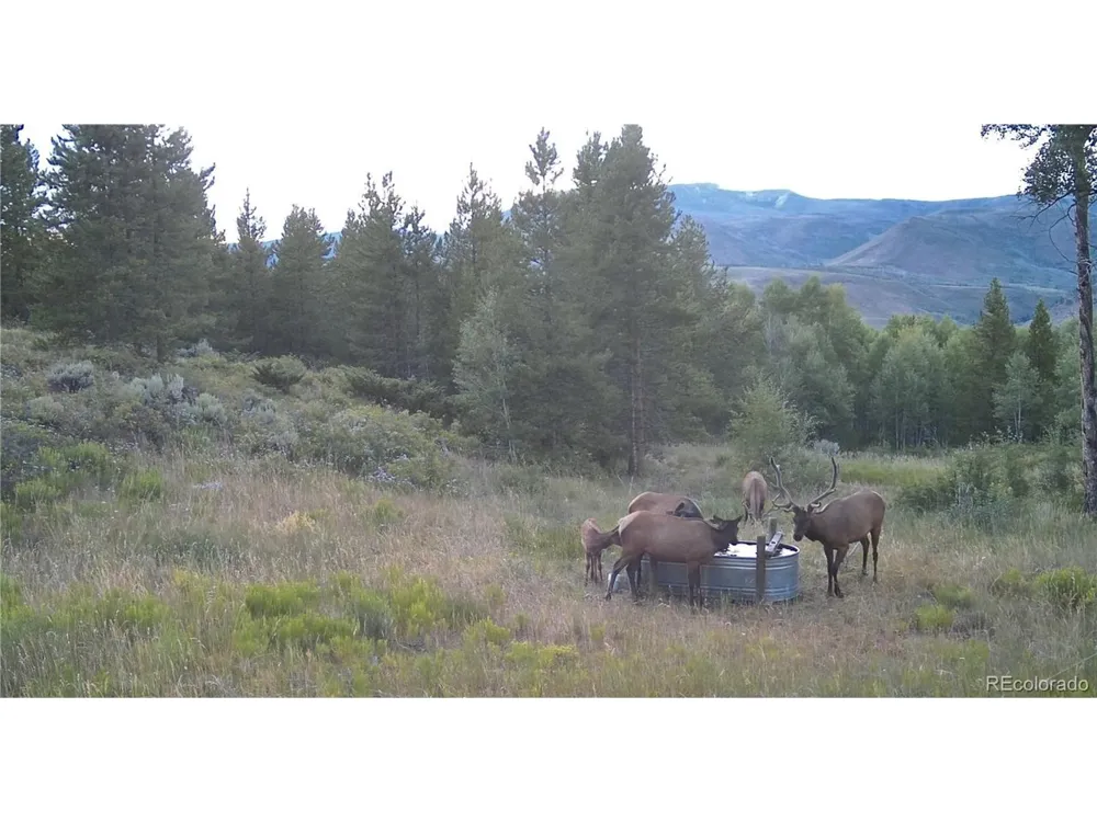 52326 US Highway 40 Hot Sulphur Springs, CO 80451