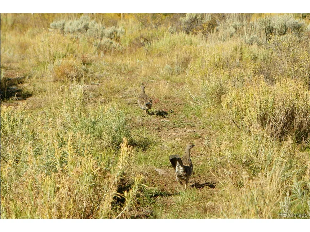 52326 US Highway 40 Hot Sulphur Springs, CO 80451