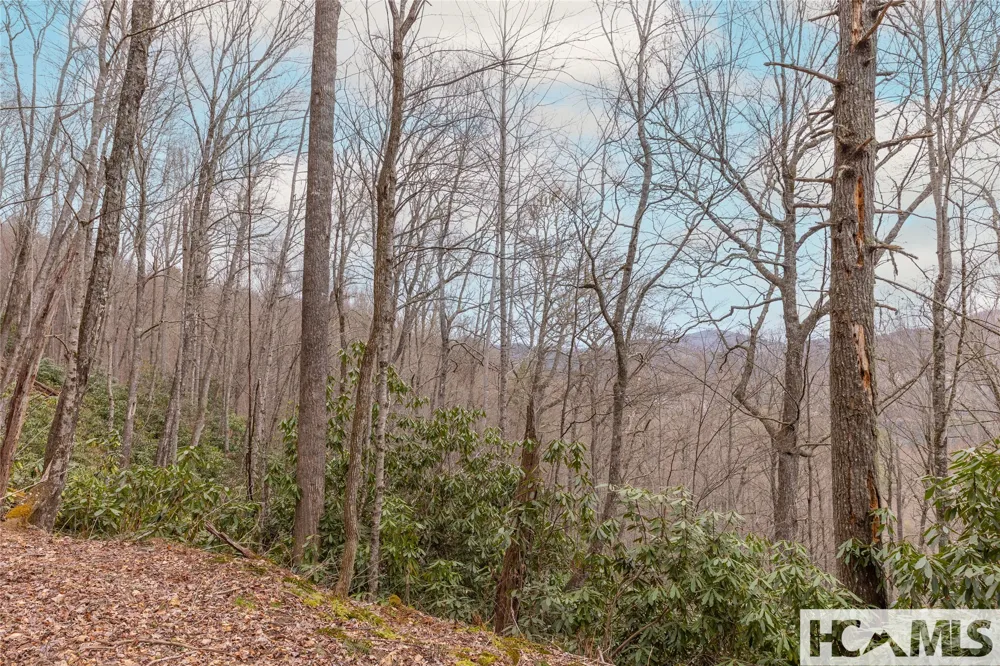 Tr A Fenley Forest Trail Cullowhee, NC 28723