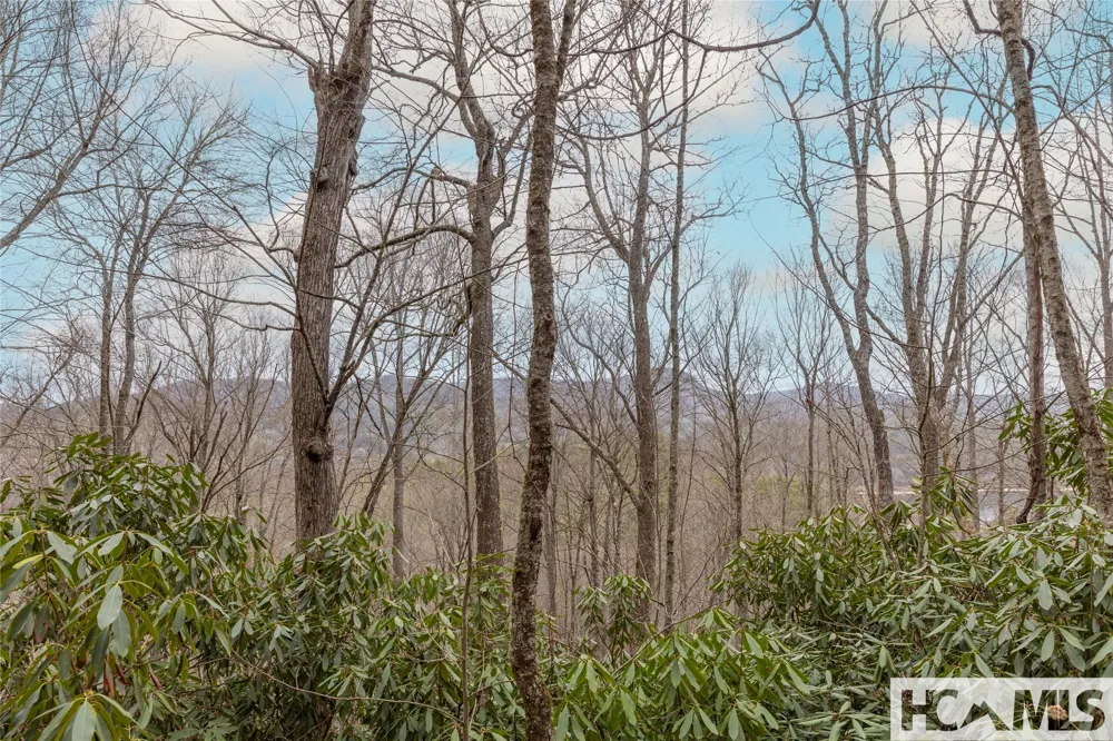 Tr A Fenley Forest Trail Cullowhee, NC 28723