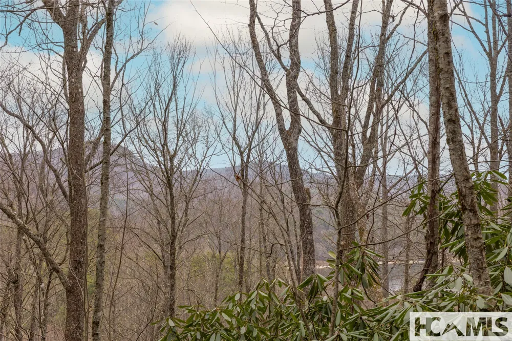 Tr A Fenley Forest Trail Cullowhee, NC 28723