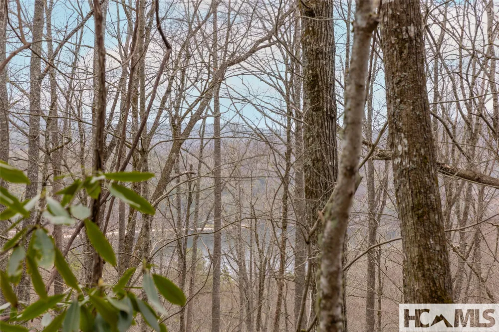 Tr A Fenley Forest Trail Cullowhee, NC 28723