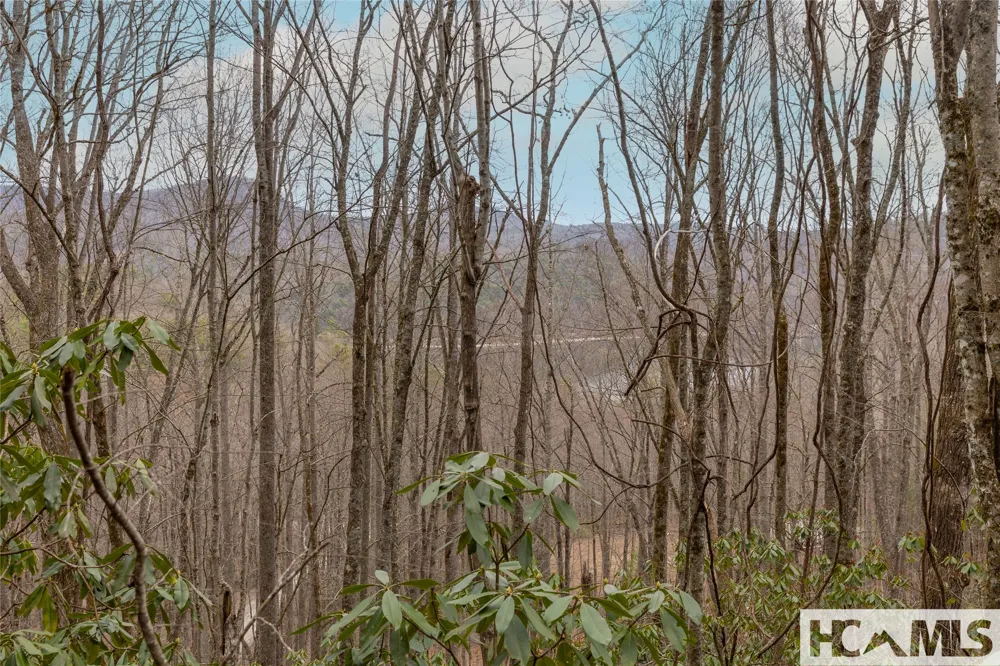 Tr A Fenley Forest Trail Cullowhee, NC 28723