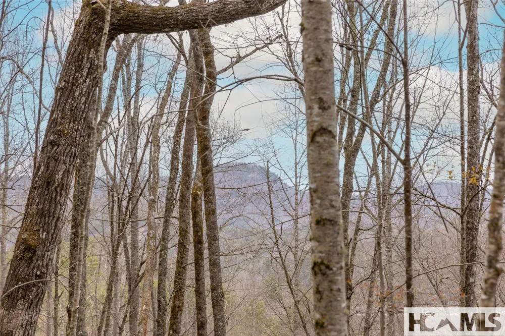 Tr A Fenley Forest Trail Cullowhee, NC 28723