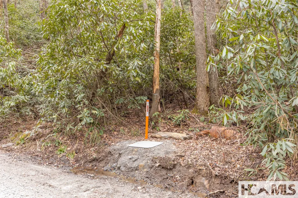 Tr A Fenley Forest Trail Cullowhee, NC 28723