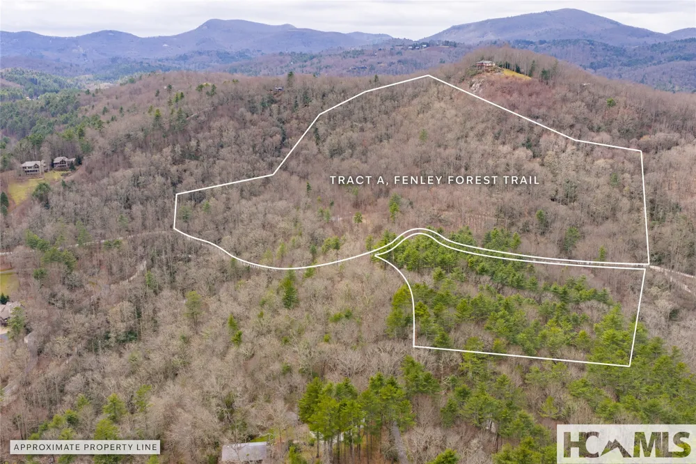 Tr A Fenley Forest Trail Cullowhee, NC 28723