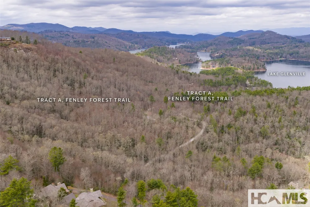 Tr A Fenley Forest Trail Cullowhee, NC 28723