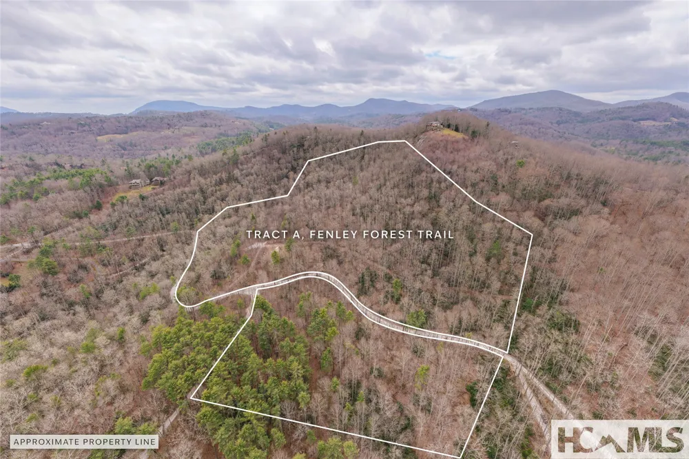 Tr A Fenley Forest Trail Cullowhee, NC 28723