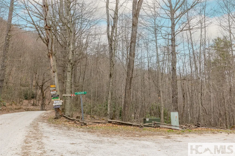 Tr A Fenley Forest Trail Cullowhee, NC 28723