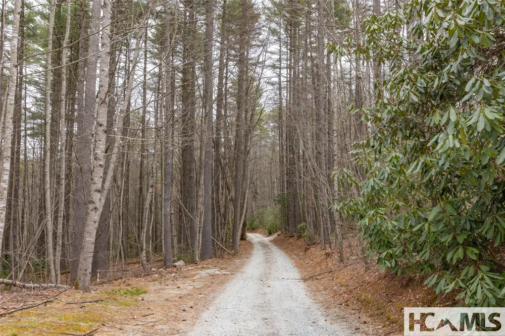 Tr A Fenley Forest Trail Cullowhee, NC 28723