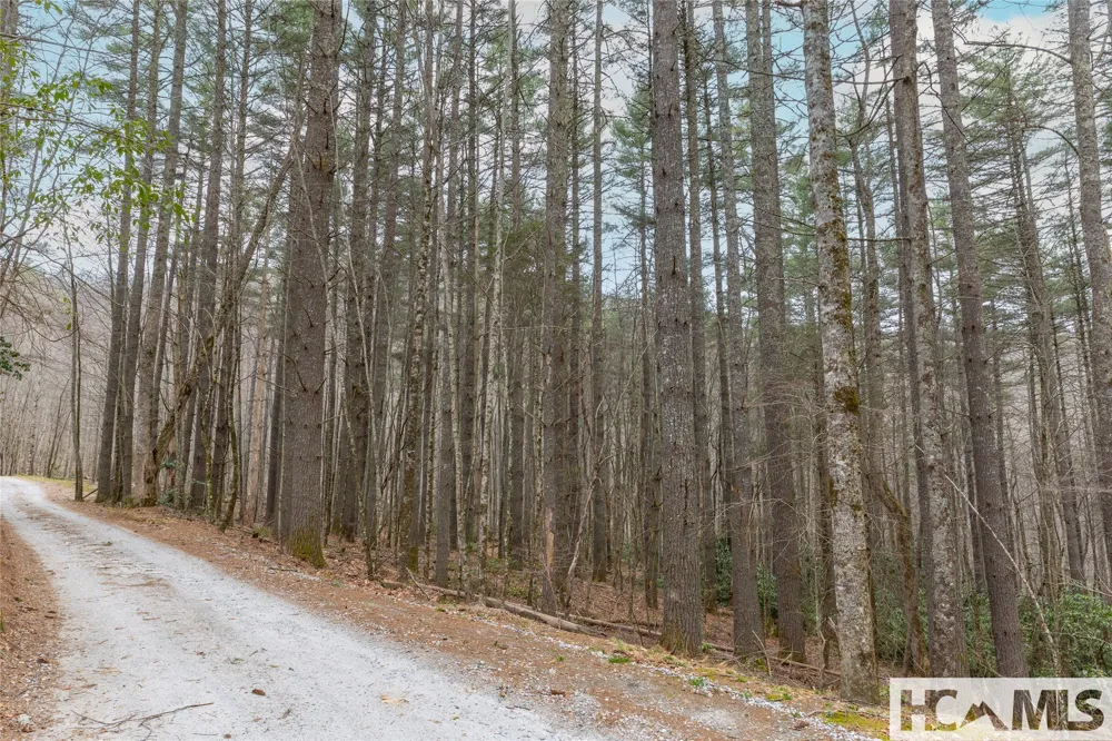Tr A Fenley Forest Trail Cullowhee, NC 28723