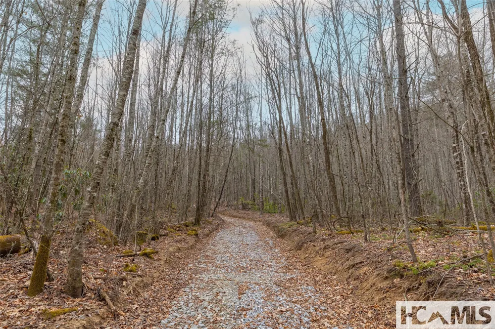 Tr A Fenley Forest Trail Cullowhee, NC 28723