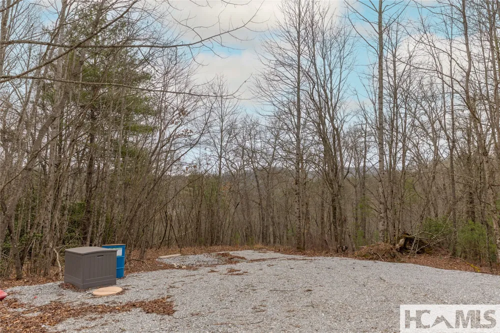 Tr A Fenley Forest Trail Cullowhee, NC 28723