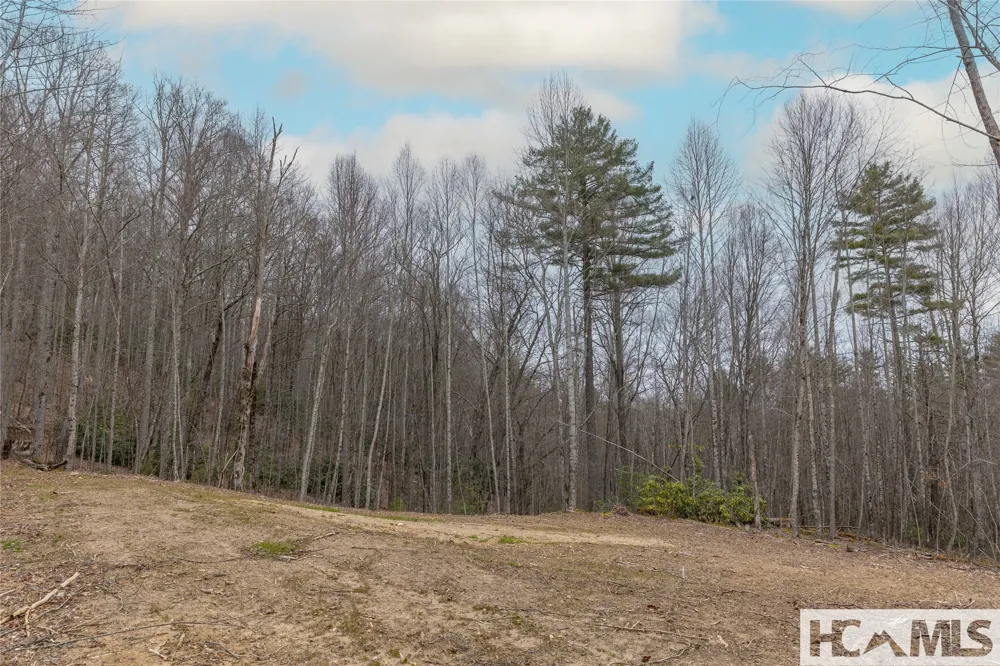 Tr A Fenley Forest Trail Cullowhee, NC 28723