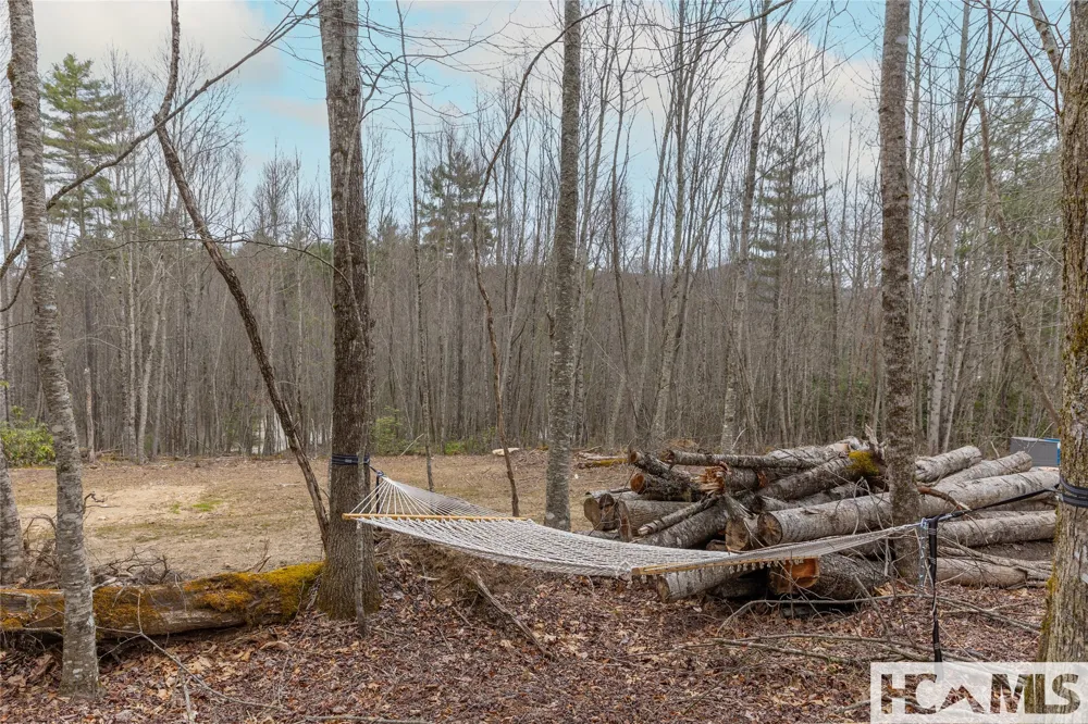 Tr A Fenley Forest Trail Cullowhee, NC 28723