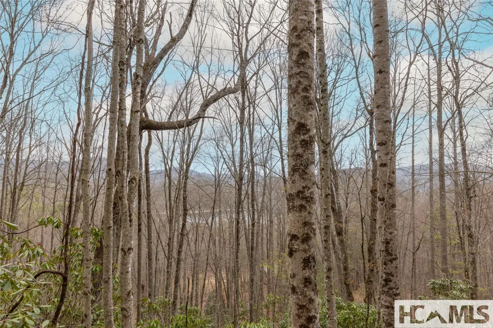 Tr A Fenley Forest Trail Cullowhee, NC 28723