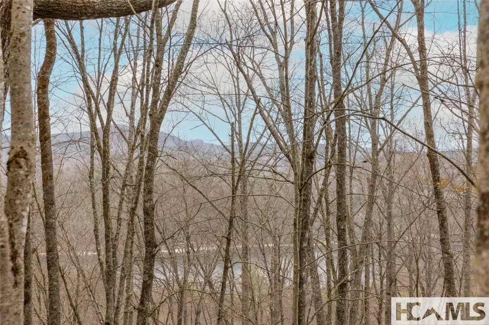 Tr A Fenley Forest Trail Cullowhee, NC 28723