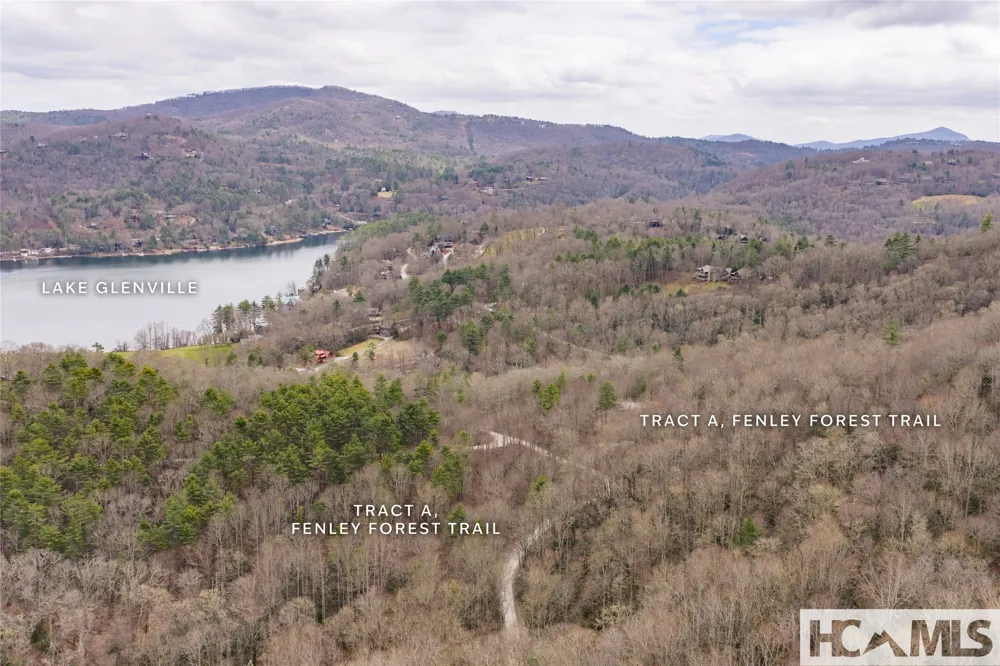 Tr A Fenley Forest Trail Cullowhee, NC 28723