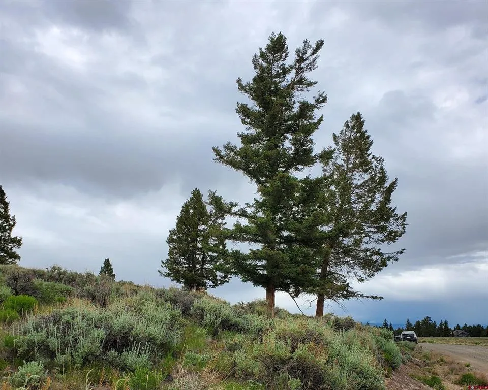 273 Schofield Trail Powderhorn, CO 81243