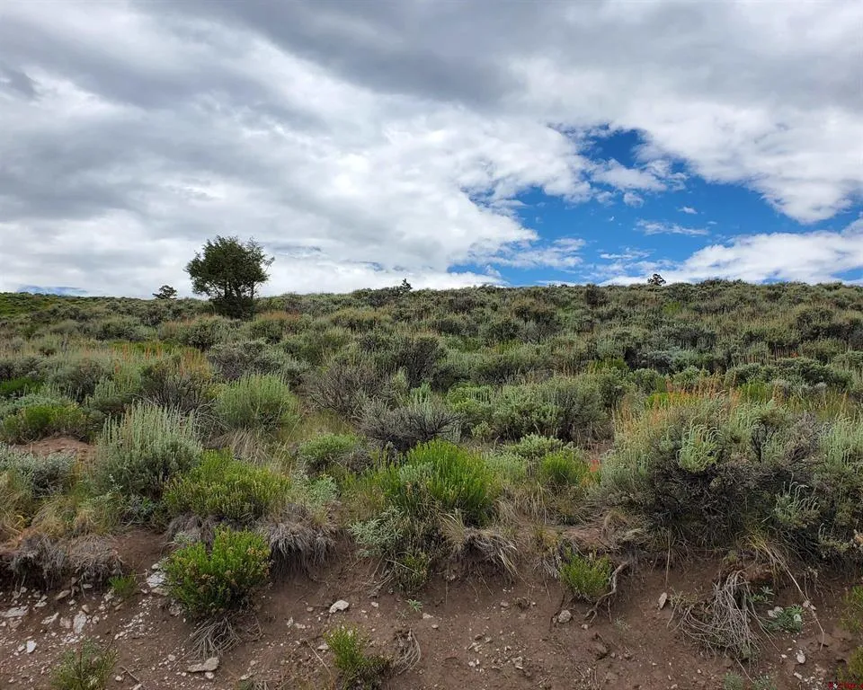 273 Schofield Trail Powderhorn, CO 81243