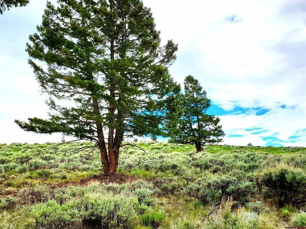 231 Schofield Trail Powderhorn, CO 81243