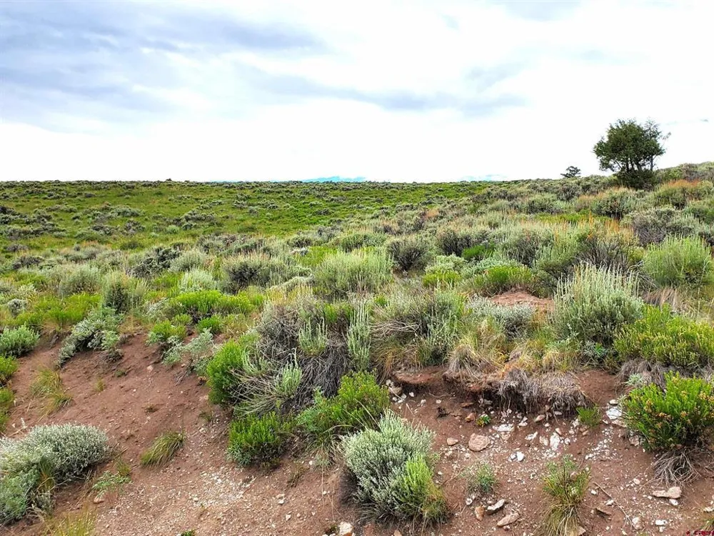 231 Schofield Trail Powderhorn, CO 81243