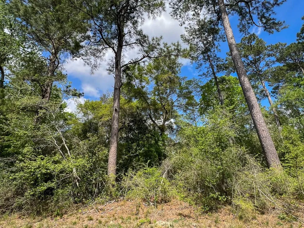 1 Fm 2665 Goodrich, TX 77351
