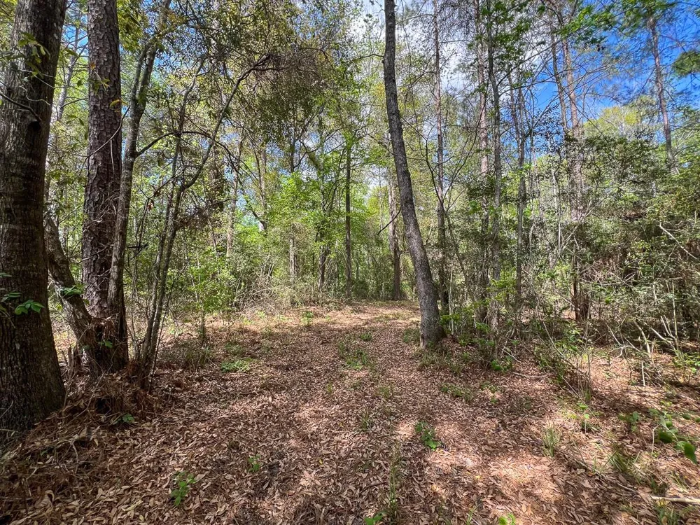 1 Fm 2665 Goodrich, TX 77351