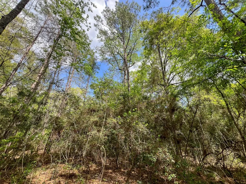 1 Fm 2665 Goodrich, TX 77351
