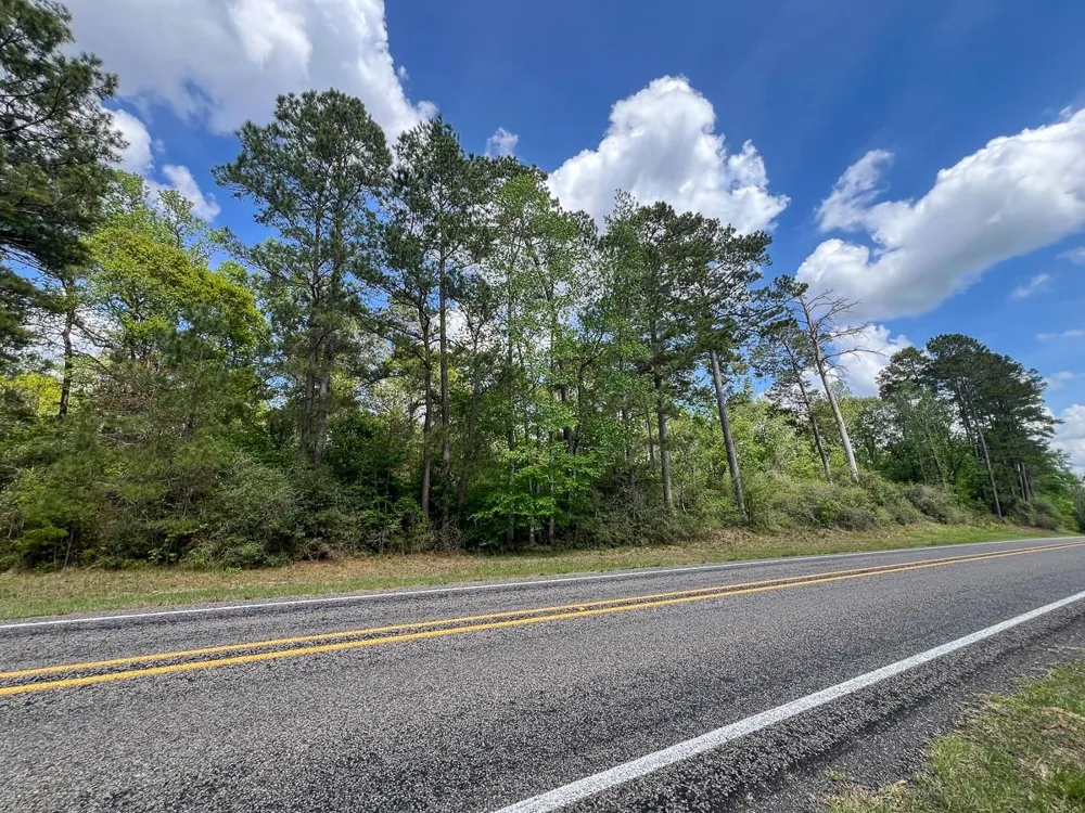 1 Fm 2665 Goodrich, TX 77351