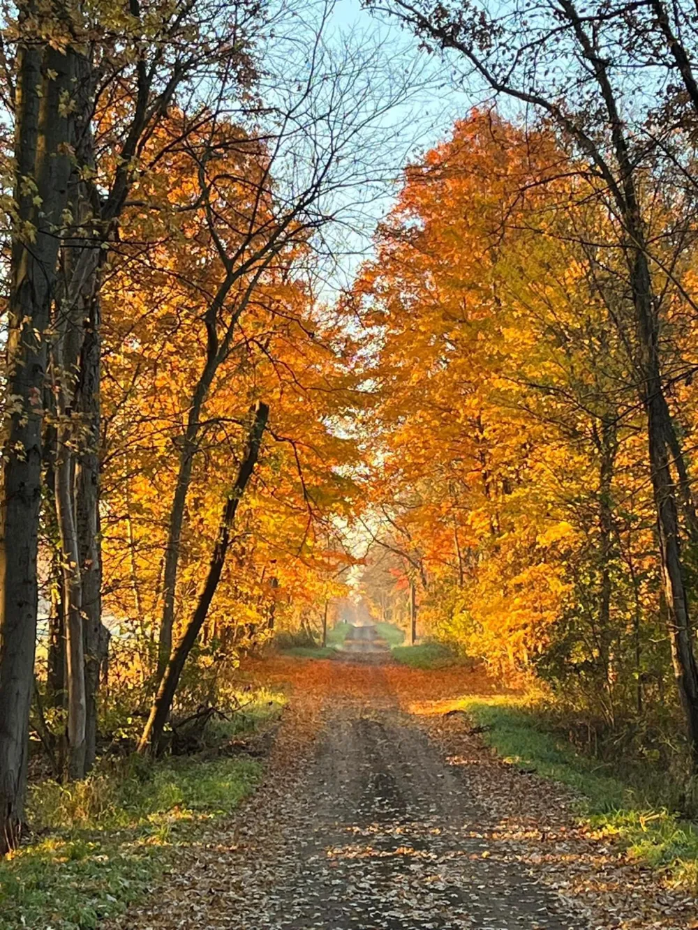 Burbank Road Butler Township, MI 49082