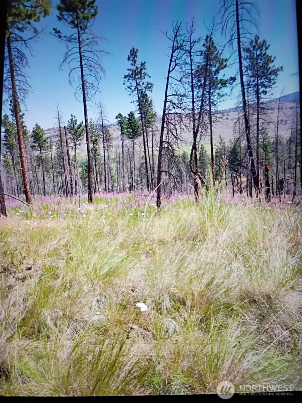 111 TBD J H Green RD Tonasket, WA 98855