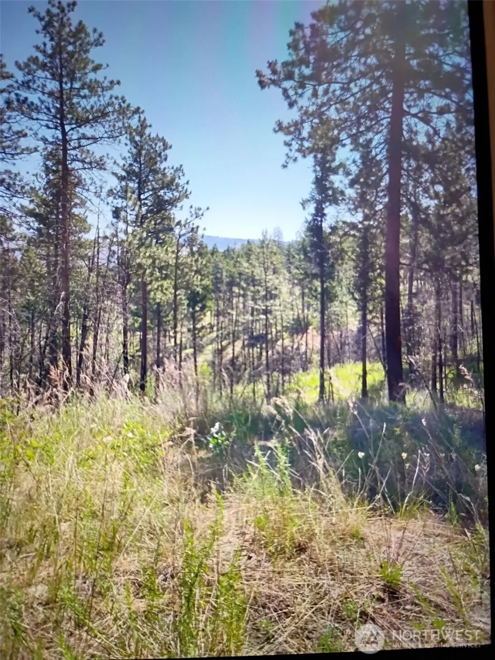 111 TBD J H Green RD Tonasket, WA 98855