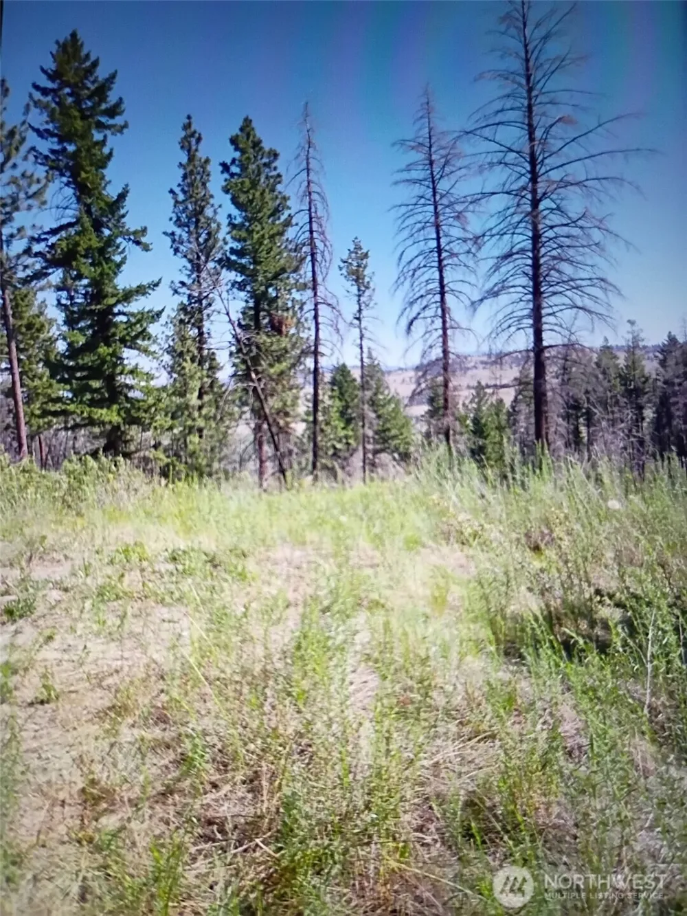 111 TBD J H Green RD Tonasket, WA 98855