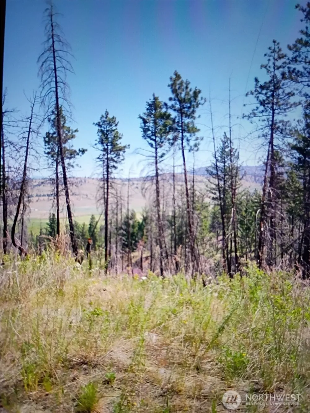 111 TBD J H Green RD Tonasket, WA 98855