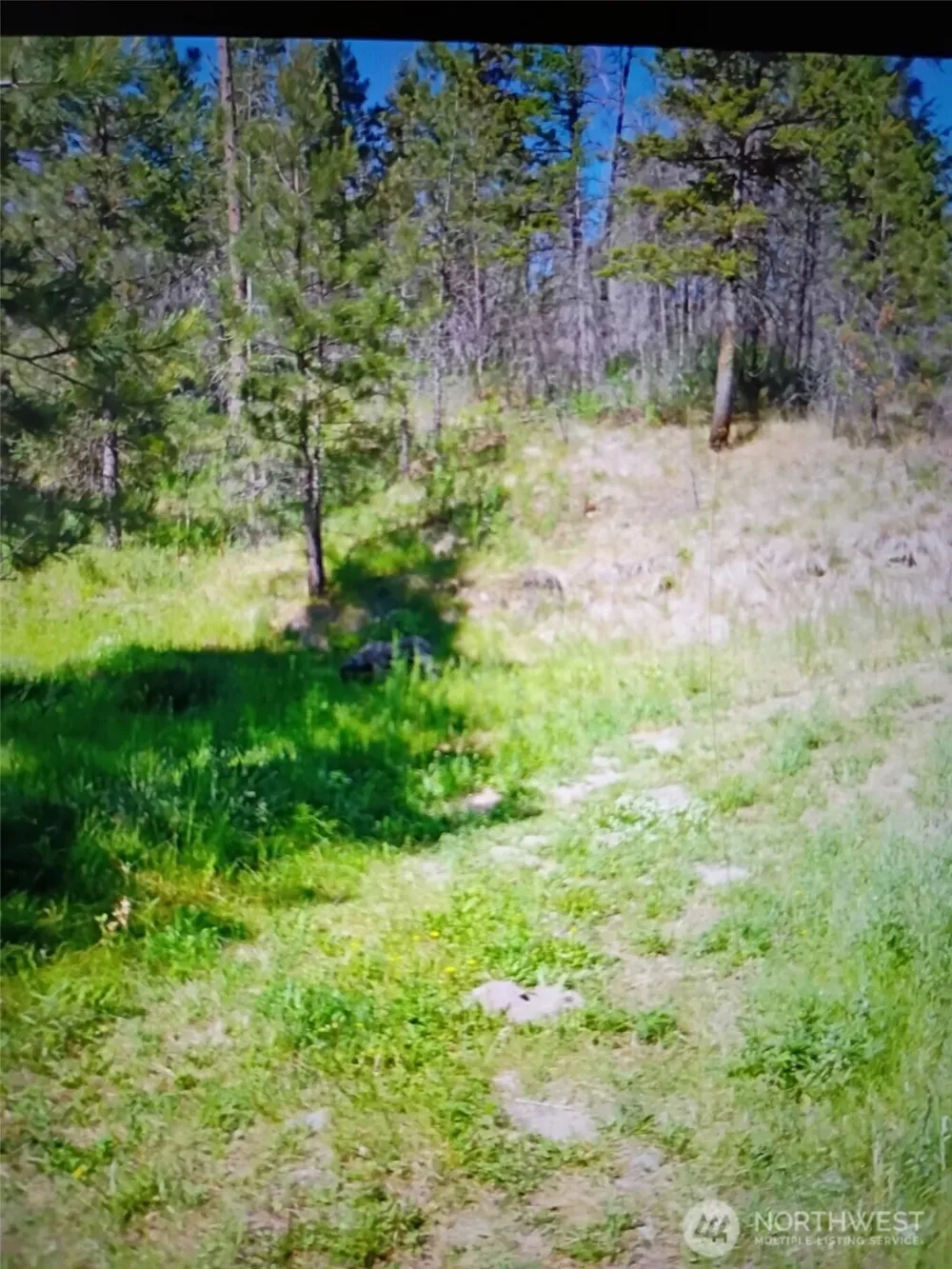 111 TBD J H Green RD Tonasket, WA 98855