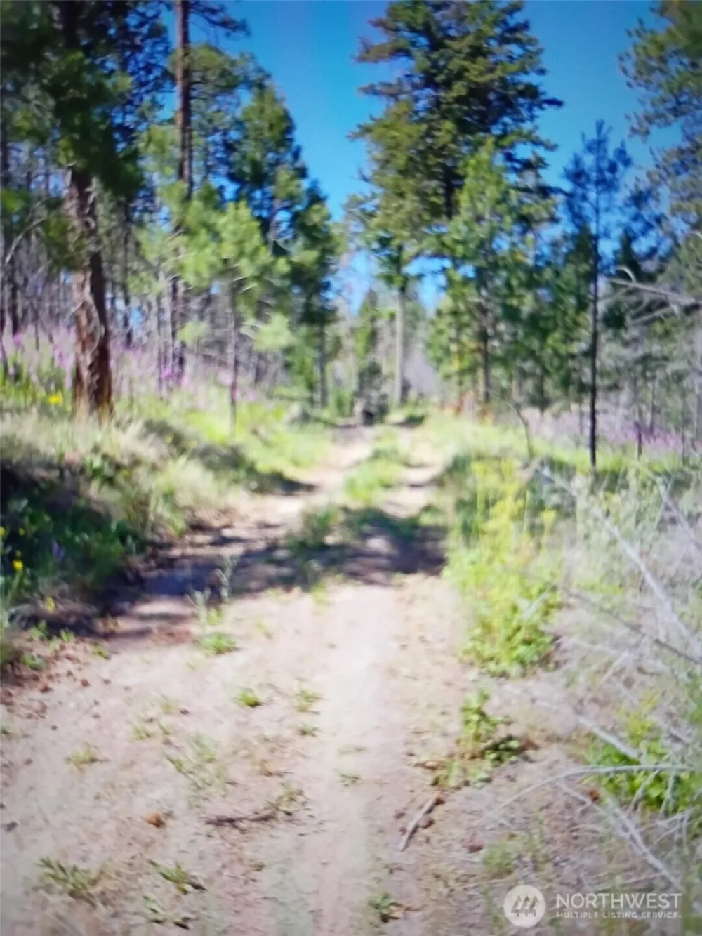 111 TBD J H Green RD Tonasket, WA 98855