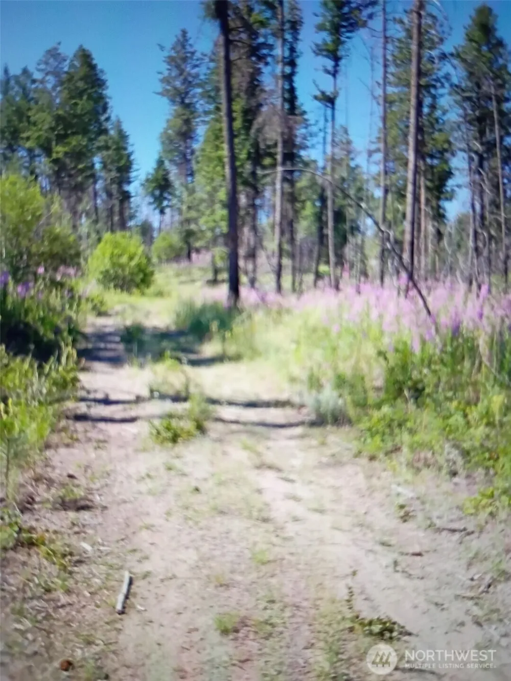 111 TBD J H Green RD Tonasket, WA 98855