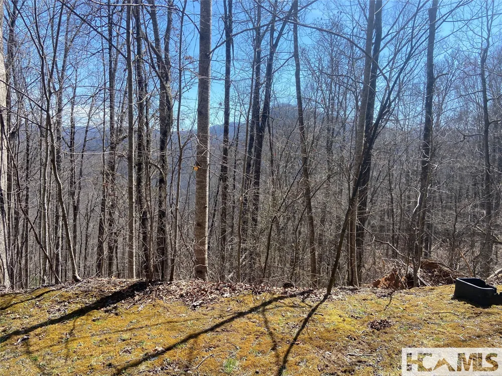 59 Waterdance Drive Cullowhee, NC 28723