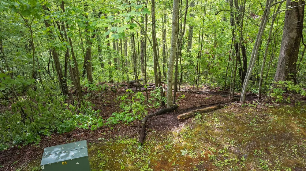 59 Waterdance Drive Cullowhee, NC 28723