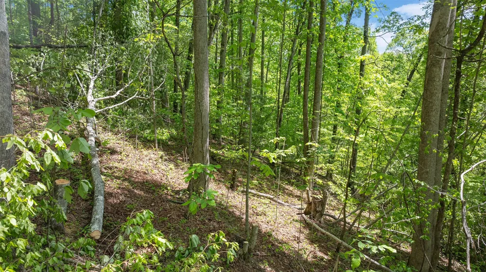 59 Waterdance Drive Cullowhee, NC 28723