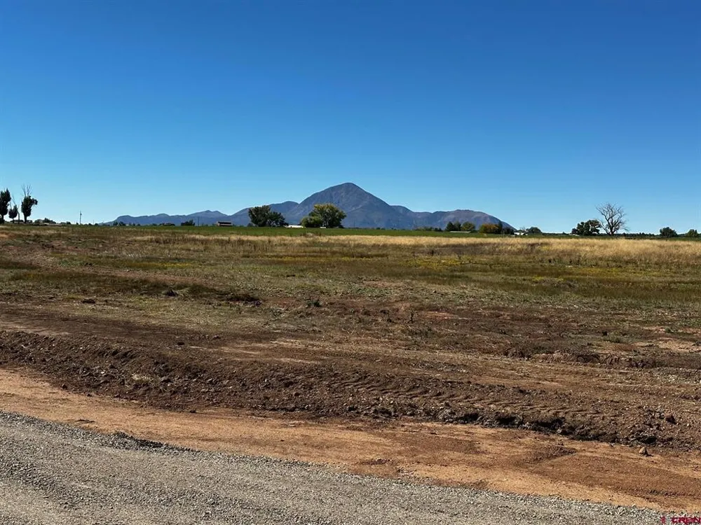 TBD Road 22.6 LOT 7 Cortez, CO 81321