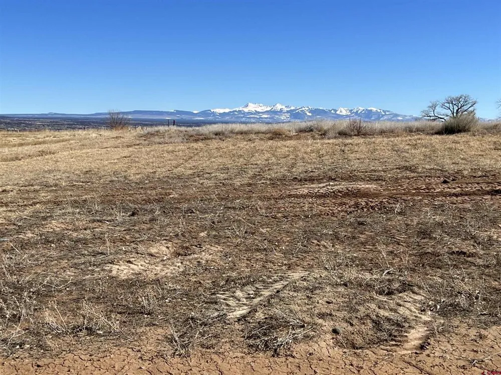 TBD Road 22.6 LOT 7 Cortez, CO 81321