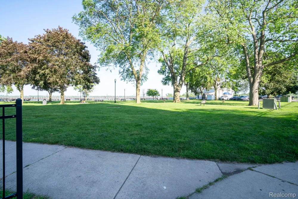 20 Chestnut Street #302 Wyandotte City, MI 48192