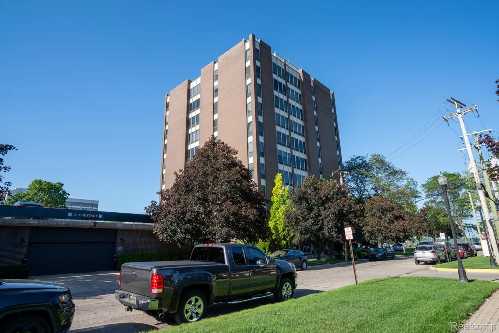 20 Chestnut Street #302 Wyandotte City, MI 48192