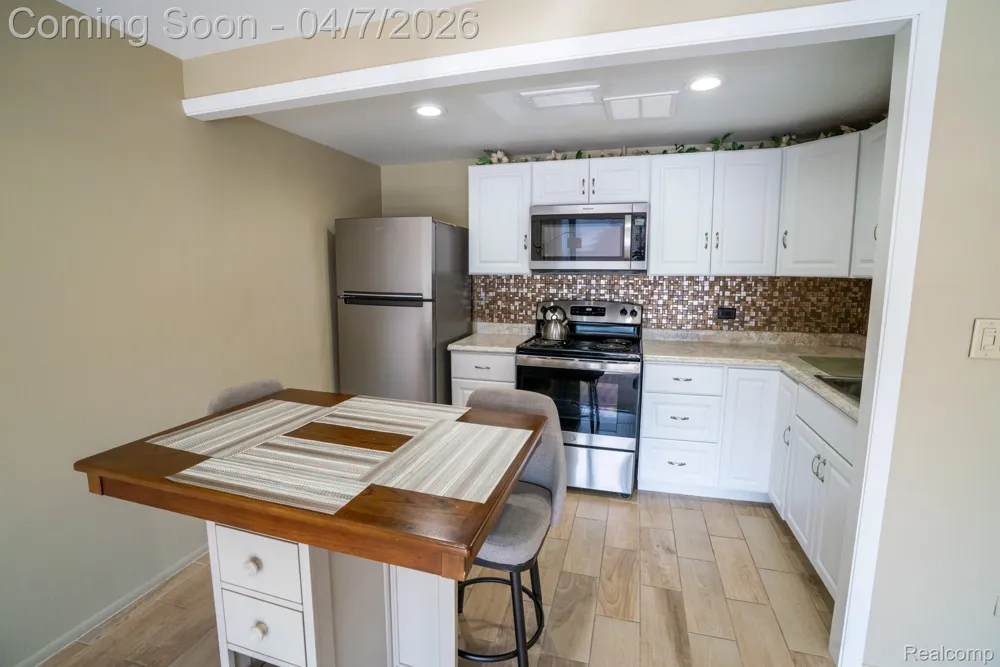 20 Chestnut Street #302 Wyandotte City, MI 48192