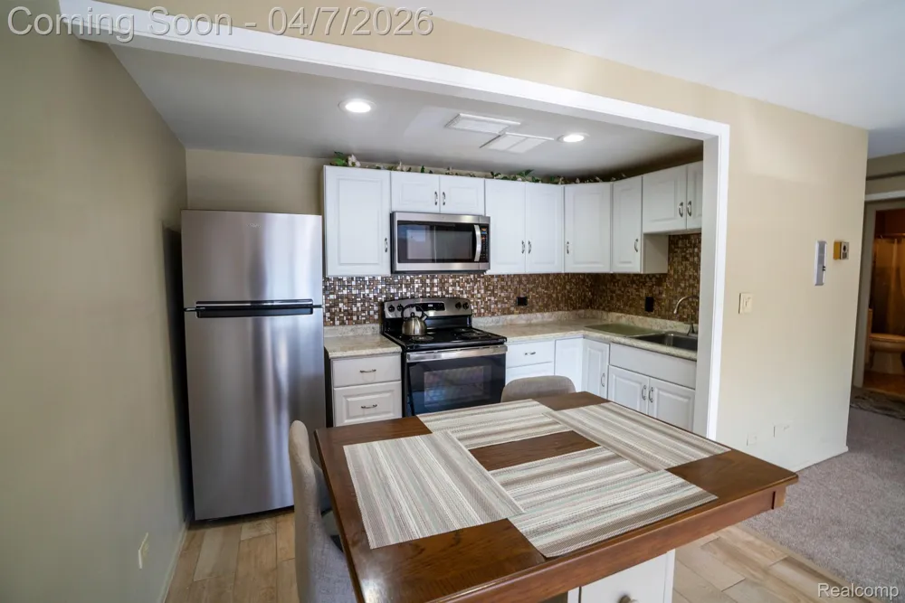 20 Chestnut Street #302 Wyandotte City, MI 48192