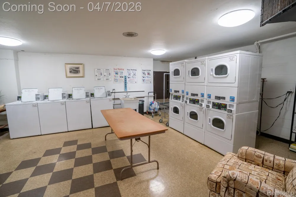 20 Chestnut Street #302 Wyandotte City, MI 48192