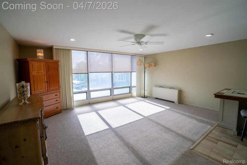 20 Chestnut Street #302 Wyandotte City, MI 48192